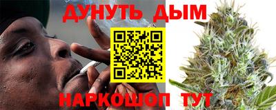 сатива Лесосибирск