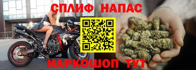 сатива Лесосибирск