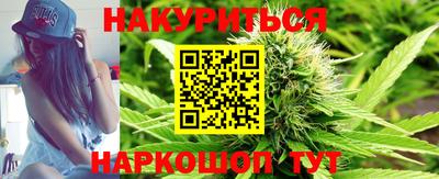 сатива Лесосибирск