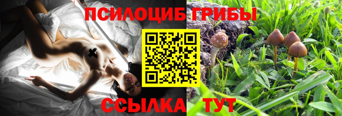 Зеленокумск  Псилоцибиновые грибы MAGIC MUSHROOMS  Галлюциногенные грибы мухоморы  Вход с VPN 