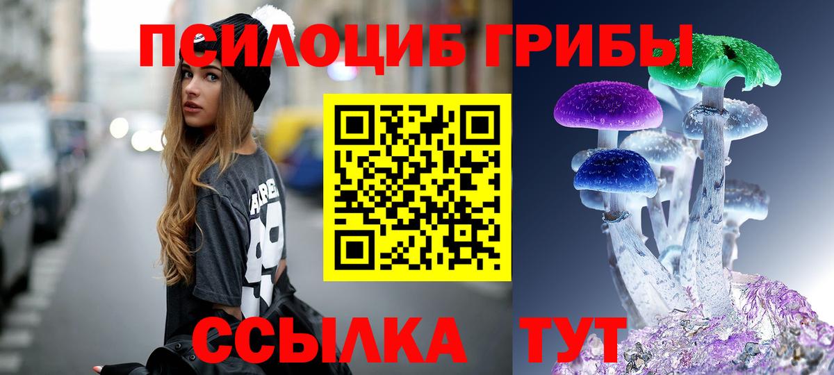 МЕФ Зеленокумск